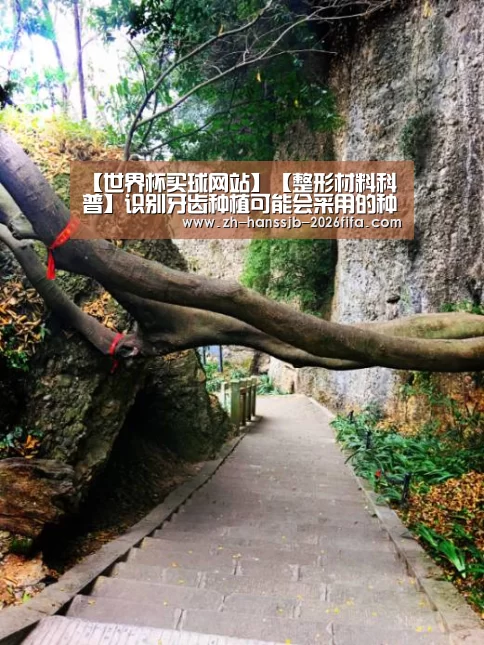 世界杯买球网站