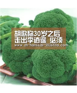 胡歌称30岁之后走出李逍遥 必须要进入新的阶段“世界杯买球网站”(图1) 世界杯外围买球