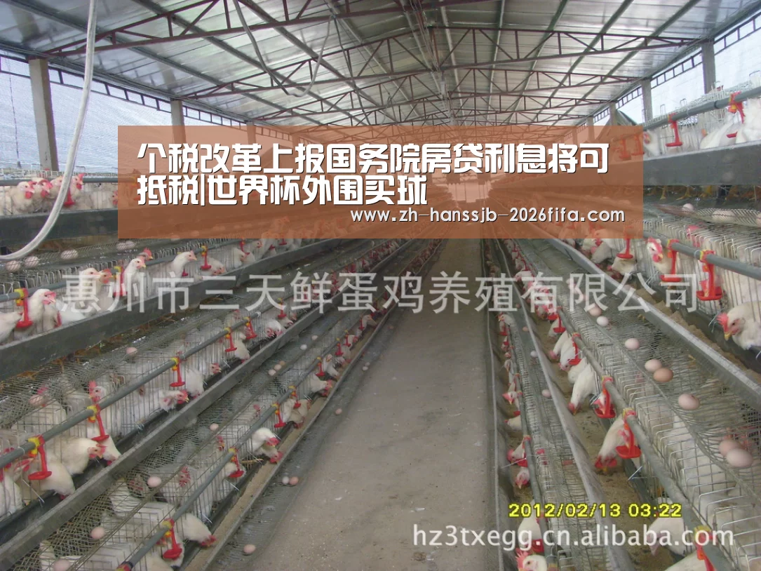 个税改革上报国务院房贷利息将可抵税|世界杯外围买球(图1) 世界杯外围买球