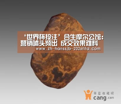 ‘世界杯投注’合生摩尔公馆:营销噱头频出 成交效果难料(图2) 世界杯外围买球